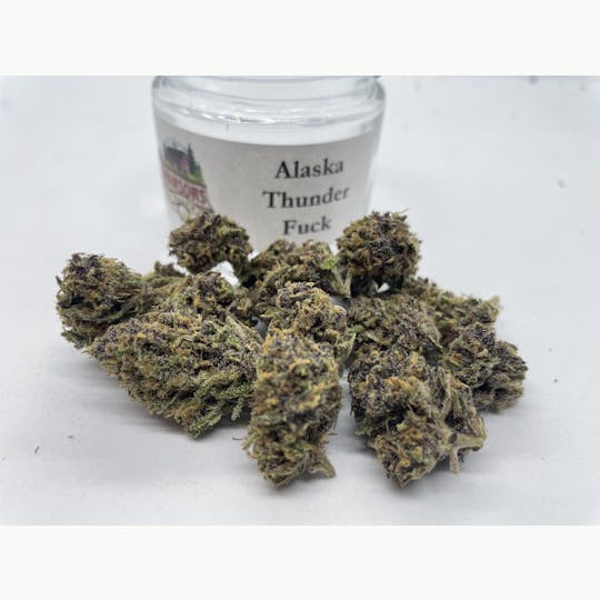 Robinsons of Maine LLC - Alaskan Thunder Fuck - Purple pheno - 1