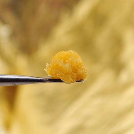 The Craft - Golden Goat - Sugar Wax - 1g - 1