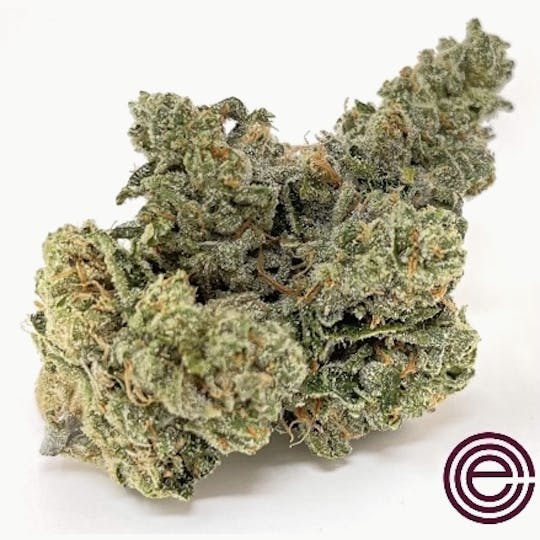 East Coast Cure - Organic Gelatti - 1