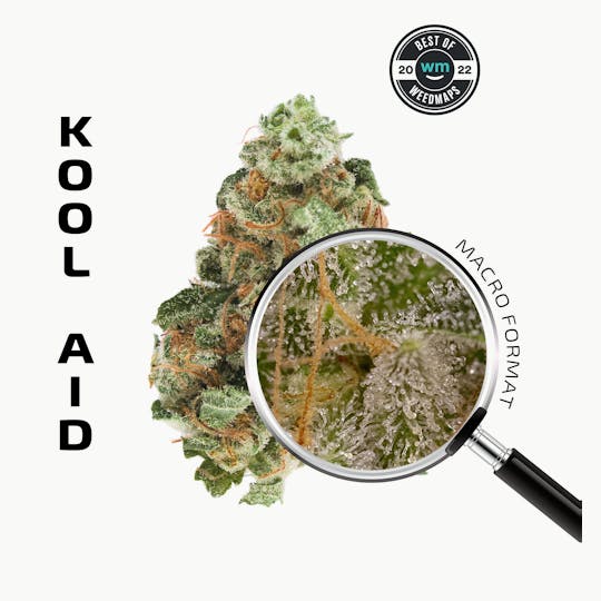 APE Premium Cannabis Corp - KOOL AID (Sativa) — 3.54g Premium Flower - 1