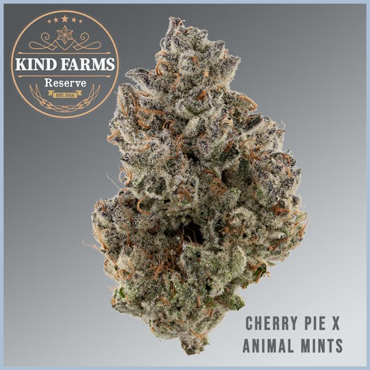 Kind Farms Reserve - Cherry Pie x Animal Mints - Kind Farms Reserve - 1