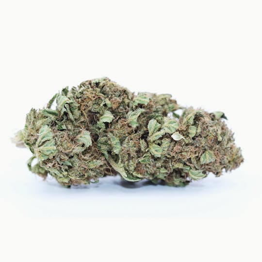 Elevation 207 - Papayas & Bananas *Greenhouse Special* - 1