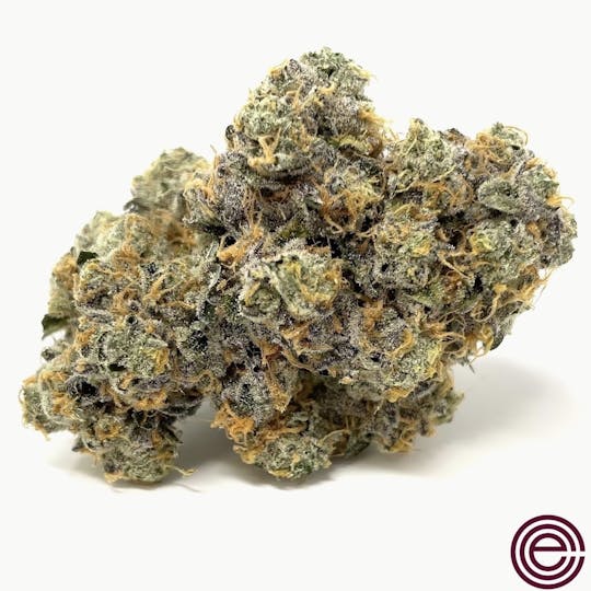 East Coast Cure - Gary Payton - 1