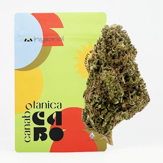 Canabotanica - Apple Fritter - 28g - Sungrown Flower - 1