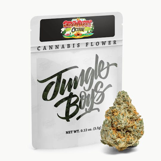 Jungle Boys - Jungle Boys | Strawberry Octane #20 - 3.5g Flower - 1