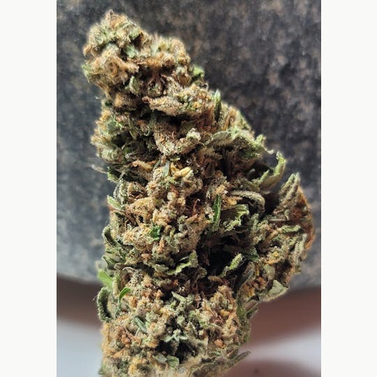 Daedalus Craft Cannabis - Jager Sky - 1