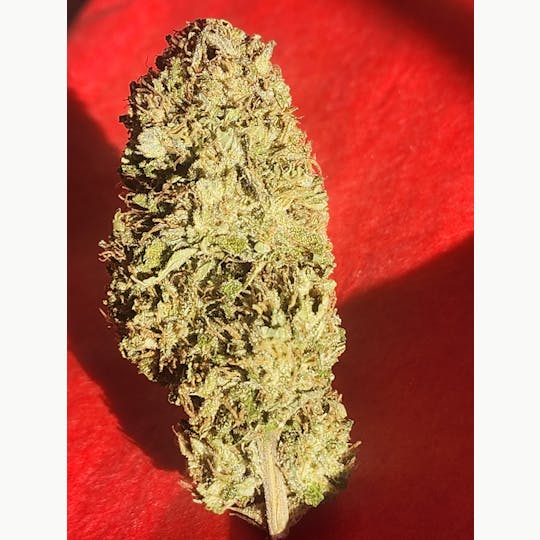 Daedalus Craft Cannabis - Monster Mash - 1