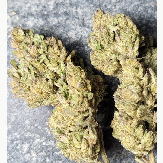 Daedalus Craft Cannabis - Litre A' Cola - 1