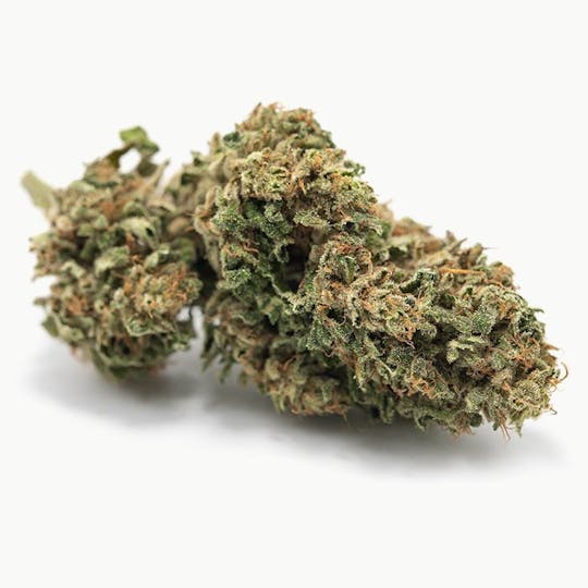 Daedalus Craft Cannabis - Honolulu Haze - CBD Flower - 1