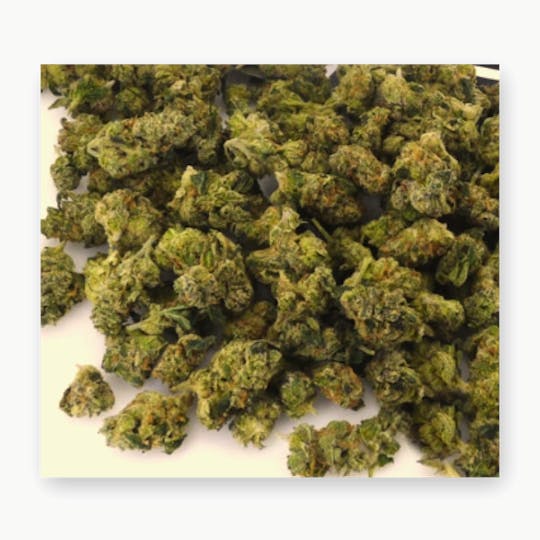 Daedalus Craft Cannabis - $100 Ounce of the Day - Tangerine Dream - 1
