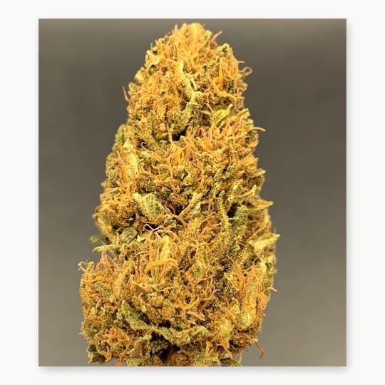 Daedalus Craft Cannabis - T1 X Cherry - CBD Flower - 1