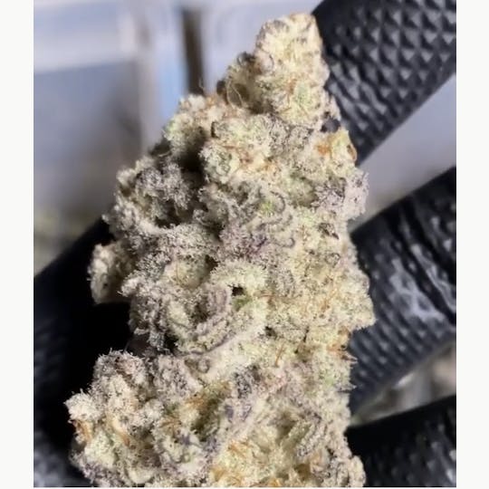 The Frost Factory - Mac 1 Caps Cut - 1