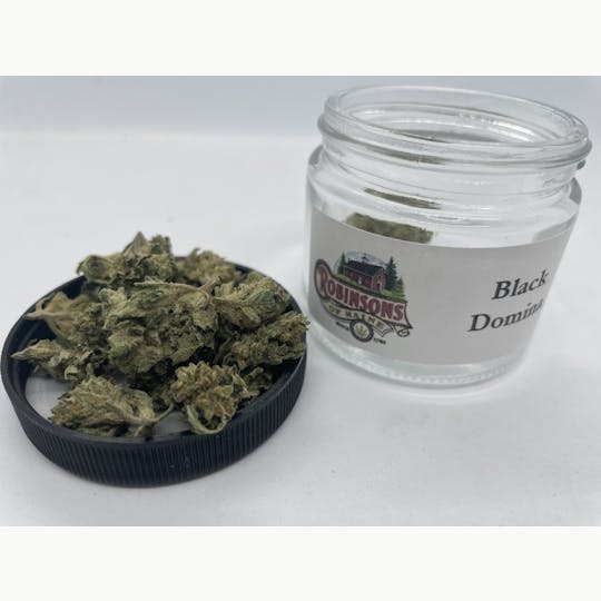 Robinsons of Maine LLC - Black Domina - selected small buds - 1