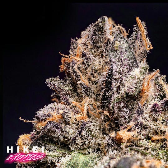 Hikei Exotics - Blue Berries Eightr 3.5g - 1
