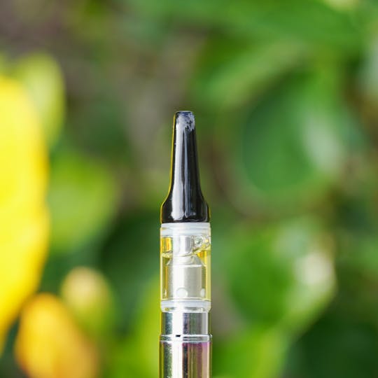 PONO LIFE MAUI - Maui Mango Distillate Cartridge - 1