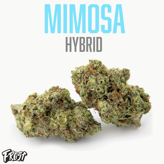 Frost - Mimosa (36% THC Hybrid) - 1