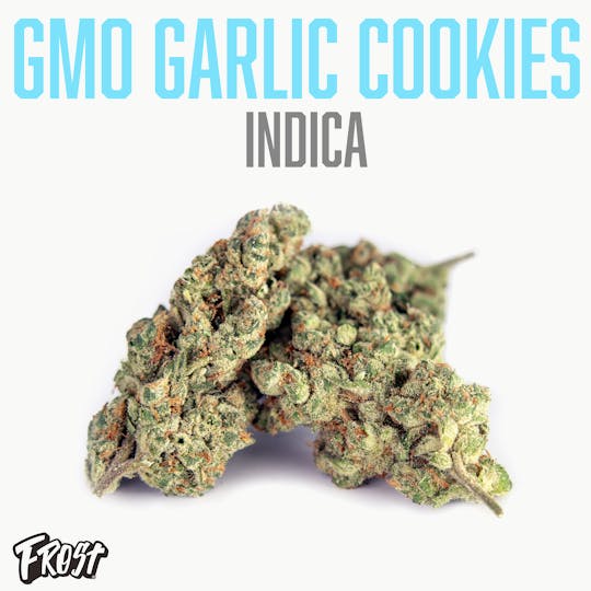 Frost - GMO Garlic Cookies (30% THC Indica) - 1