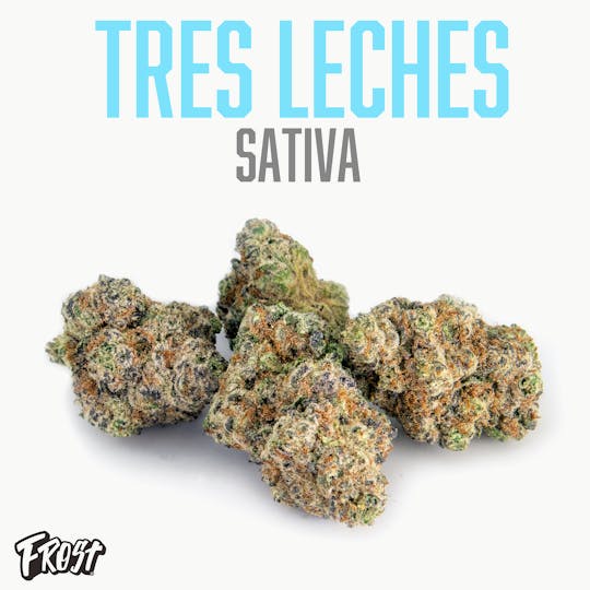 Frost - Tres Leches (30% THC Sativa) - 1