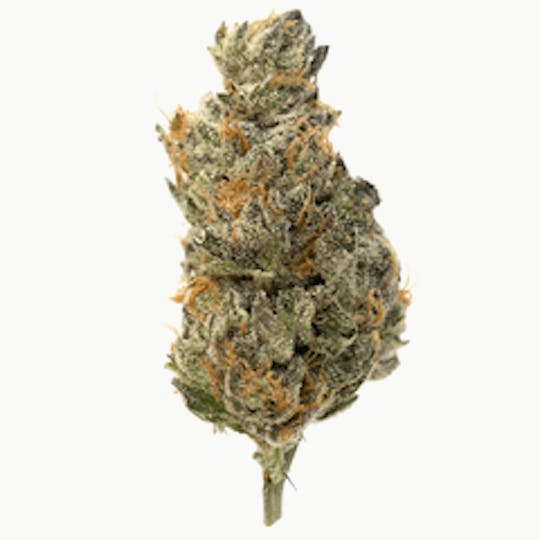 Highbrow - Key Lime Pie - 1