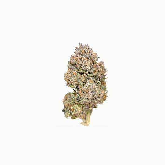 Highbrow - Purple Diesel - 1