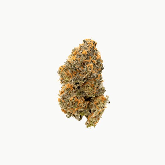 Highbrow - Highbrow Disco Biscuits - 1
