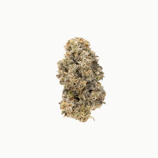 Highbrow - Miracle Alien Cookies - 1