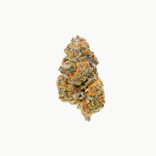 Highbrow - Orangeade - 1