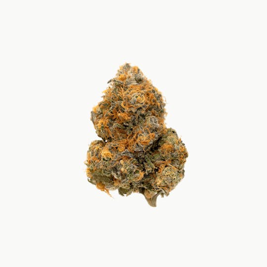 Highbrow - Sweet Mint - 1