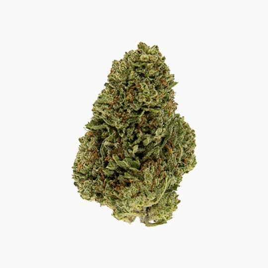 Smoakland - Exotix - Venom OG (I) - 14g - 1