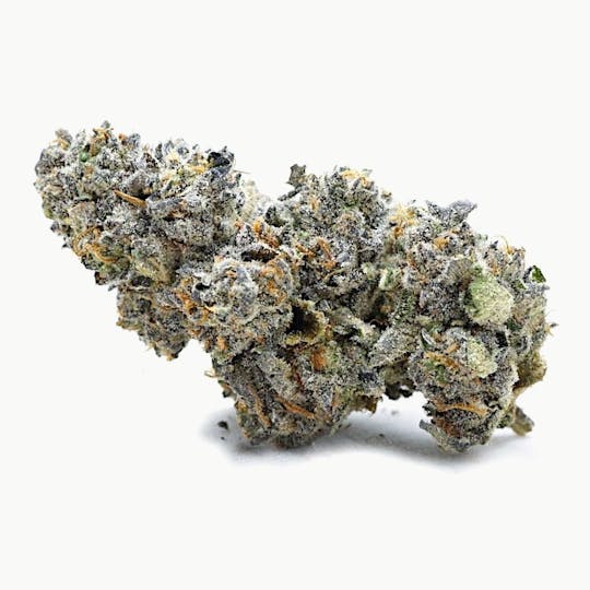 High Tide Organics - Grape Pie | Indoor - 1