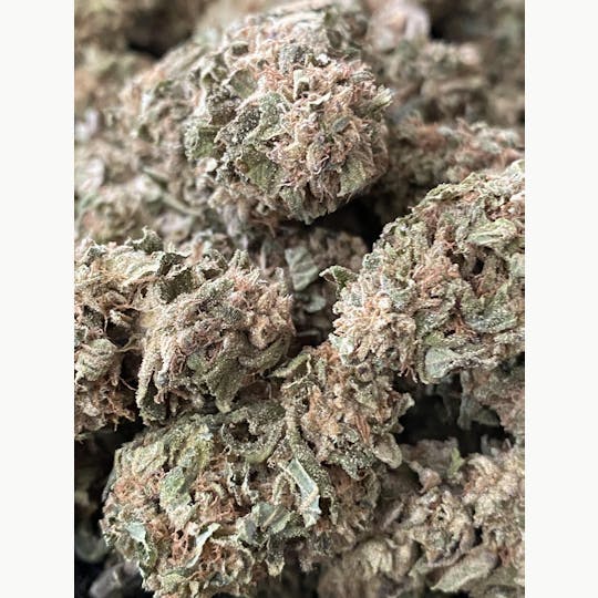 Herbal Remedies of Maine - Mandarin Jack - Outdoor - 1