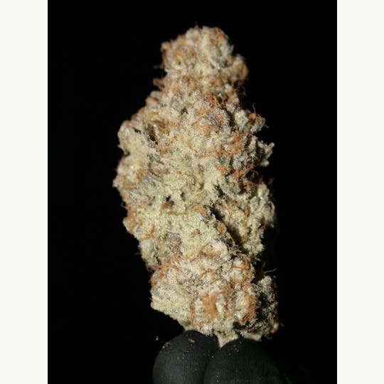 The Frost Factory - Miracle Mints - 1