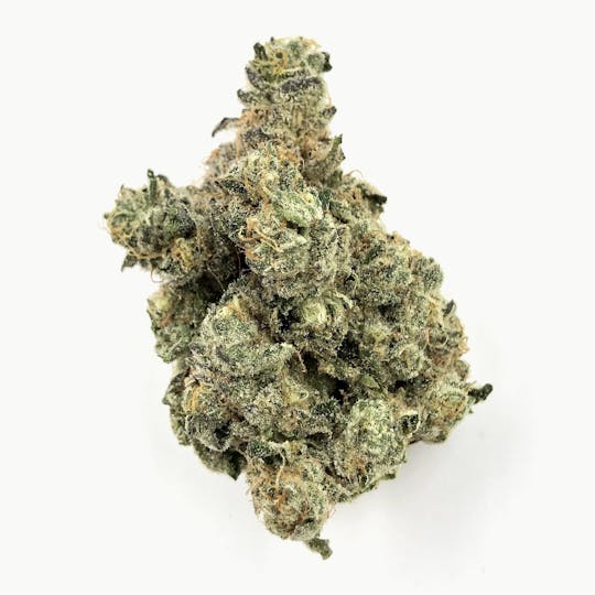 Mainely Dope - Gypsy Road - 1