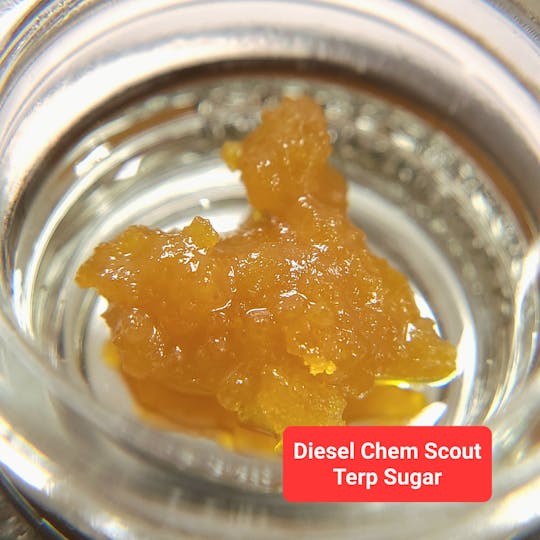 Terpman & Rosin - Diesel Chem Scout Terp Sugar - 1
