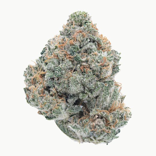 Marks Organix - Mango Tree - 1