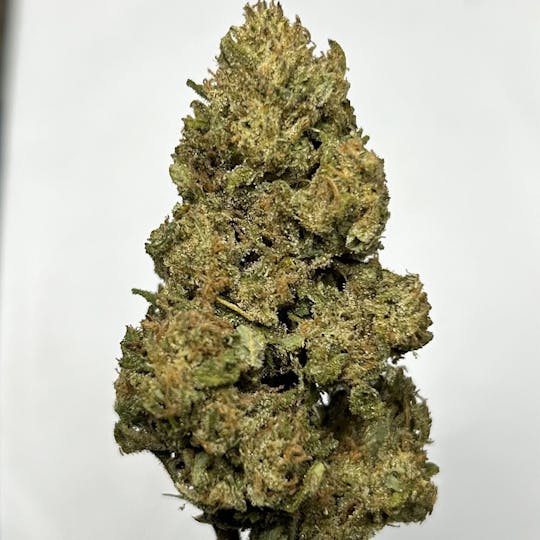 Daedalus Craft Cannabis - $80 Ounce of the Day - Nigerian Silk Chem - 1