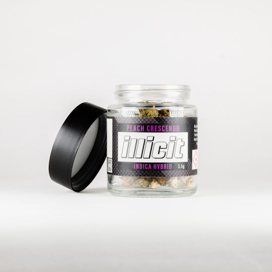 ILLICIT - Peach Crescendo 3.5G Flower - 1