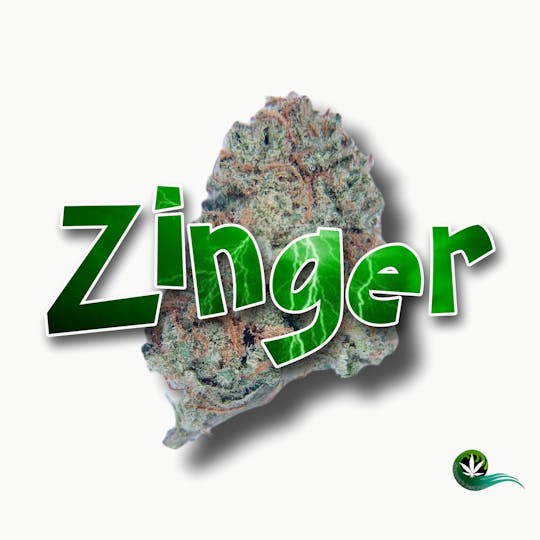 Shannon's Best Buds - Zinger - 1