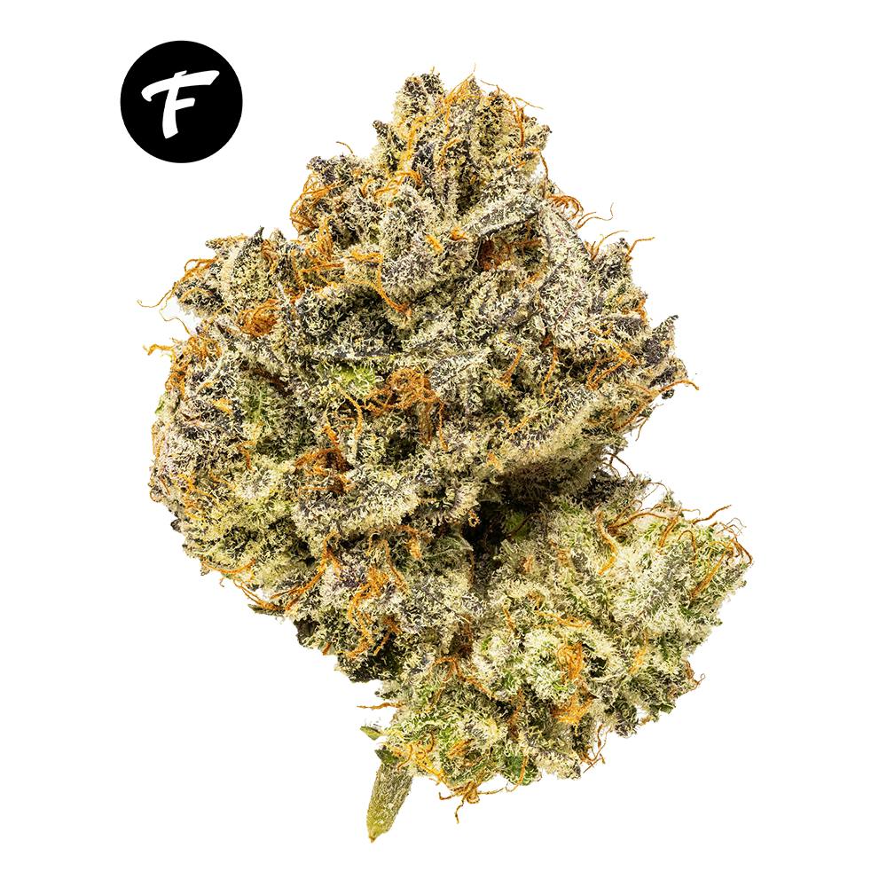 Melonade (Watermelon Zkittlez x Lemon Tree) - 19.76% - Forte Cannabis