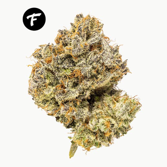 Forte Cannabis - Melonade (Watermelon Zkittlez x Lemon Tree) - 19.76% - 1