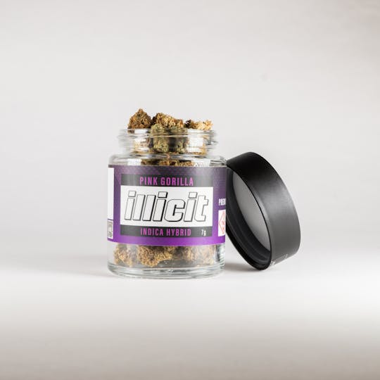 ILLICIT - Pink Gorilla 7G Popcorn Flower - 1