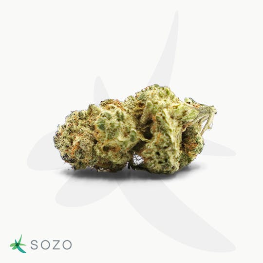 Sozo - Lilac Diesel - 1