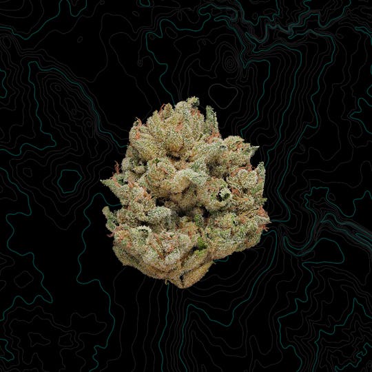 Benson Arbor - South Fork Kush 56 - 1