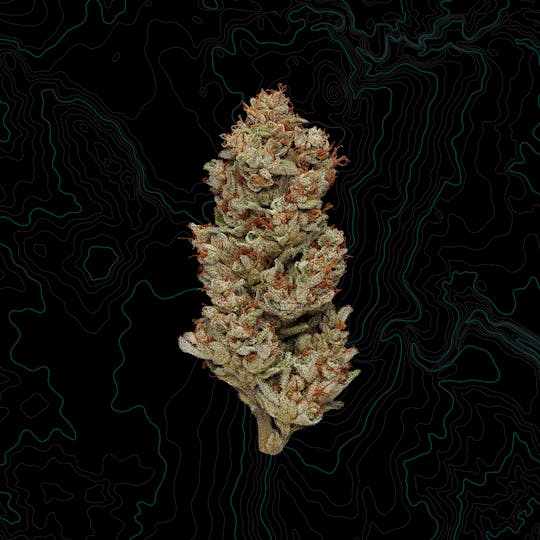 Benson Arbor - Gas, Break, Dip! - 1