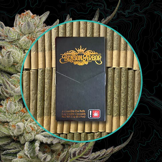 Benson Arbor - Animism 6 6-Pack - 1