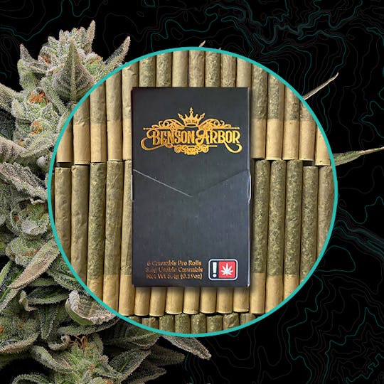Benson Arbor - Josh D OG 6-Pack - 1