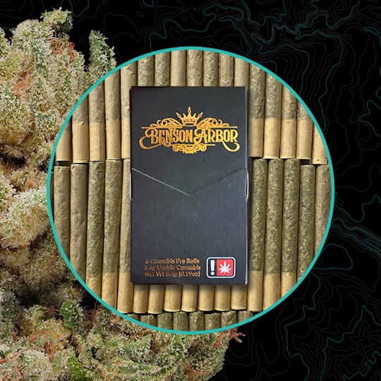 Benson Arbor - South Fork Kush 56 6-Pack - 1