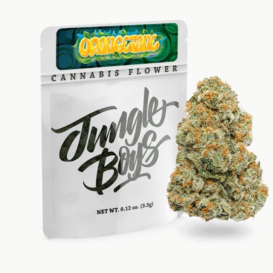 Jungle Boys - Jungle Boys | Orangetane - 3.5g Flower - 1