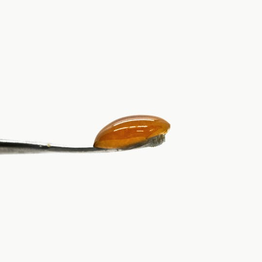 Rugged Roots - Rugged Roots - Sauce Rocky Dennis 1g - 1