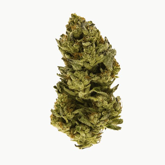 Smoakland - BLACK - Jack the Ripper (S) - 14g - 1